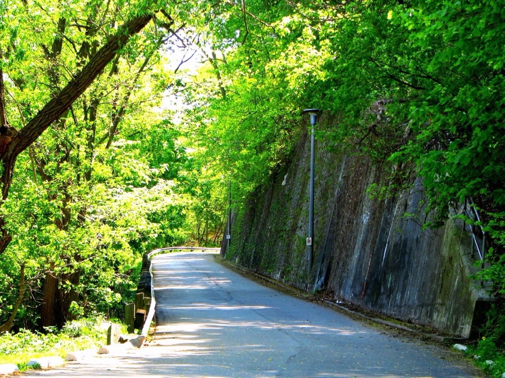 Home Smith Park on the edge of The Kingsway